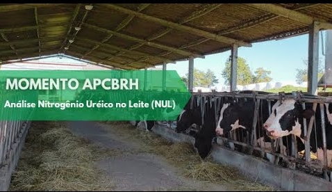 Nutrição | Momento APCBRH 6 | Monitoramento e Análise de NUL